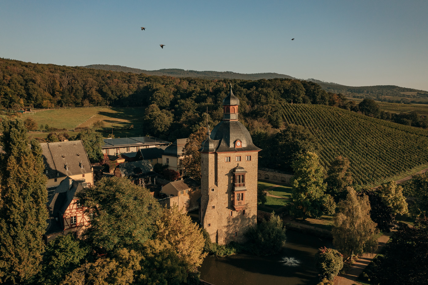 Historische Schlossführung Historische Schlossführung