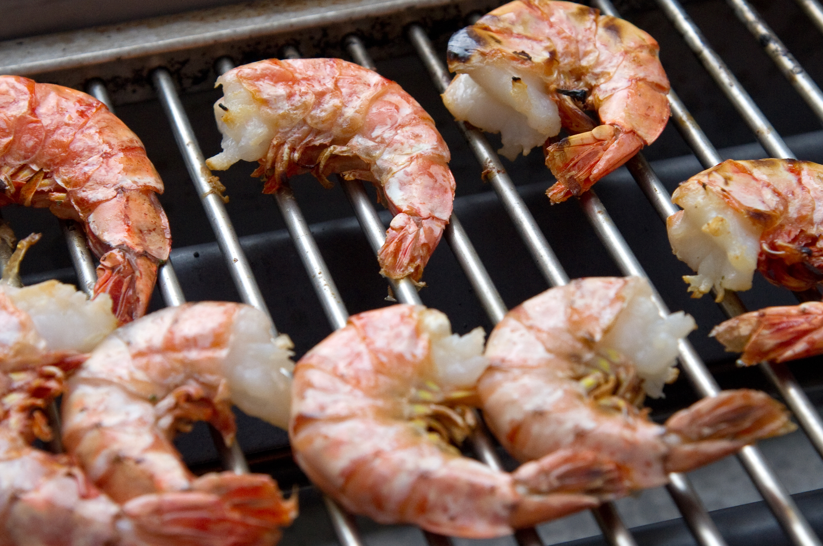 Gambas Essen Gambas Essen