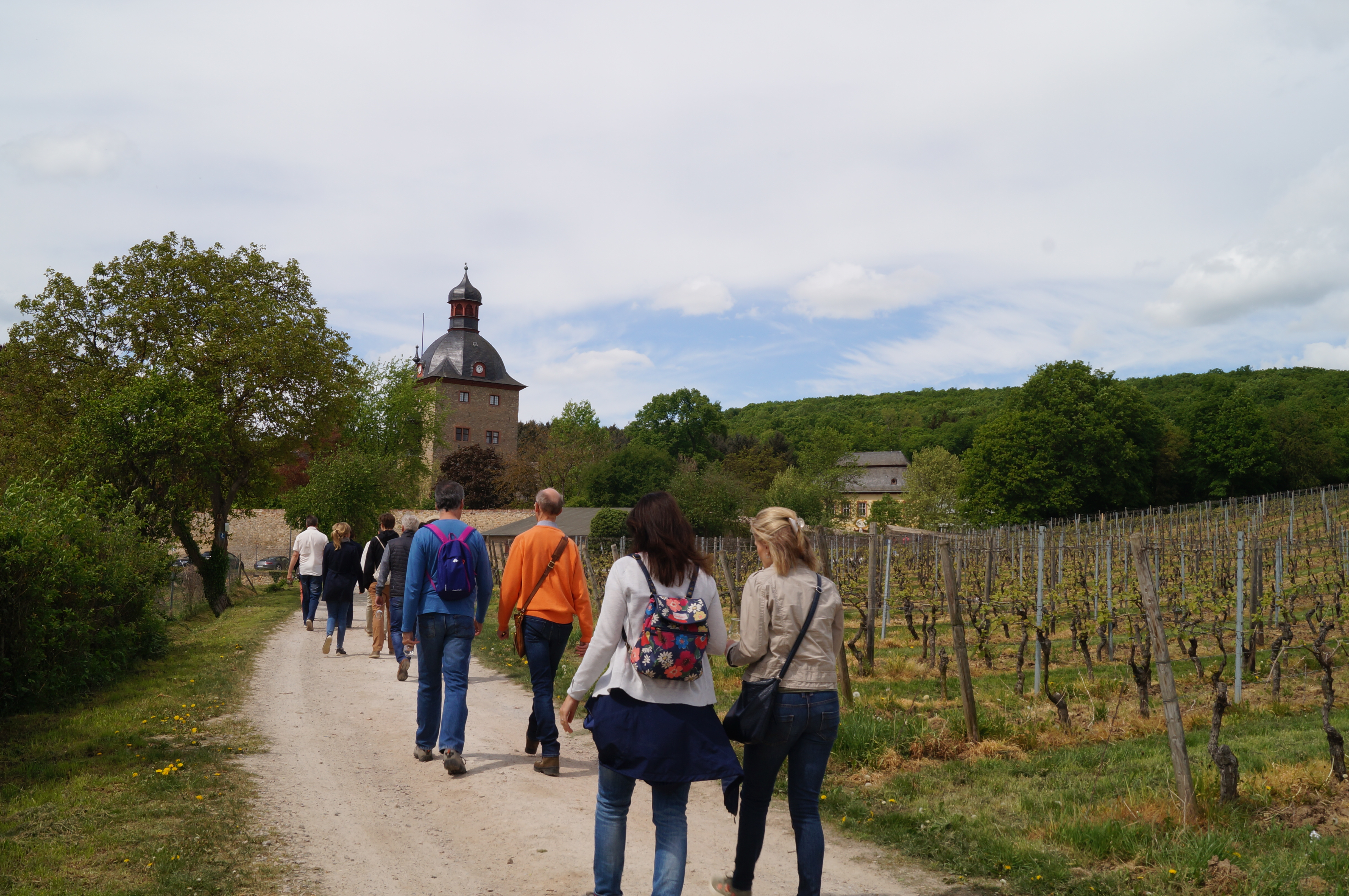 Riesling Walk